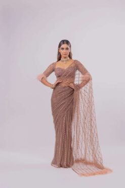 Sumshy Bollywood Style Mono Net Saree