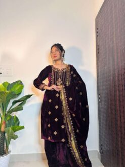 Sumshy Ladies Fancy Purple Velvet Pakistani Dress