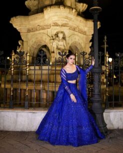 Sumshy Bollywood Style Butterfly Net Blue Lehenga Choli