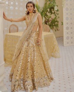 Sumshy SBD 1226 Fancy Lehenga Choli With Dupatta