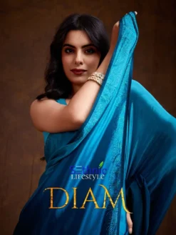 Sethnic Diam Chinnon Saree Wholesale